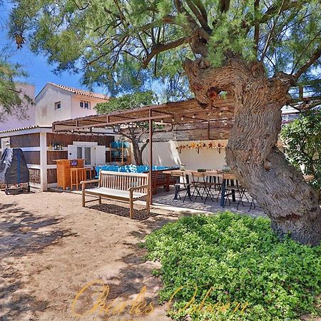 Villa Des Tamaris, Villa 5* En Bord De Mer. Frontignan Dış mekan fotoğraf
